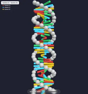 DNA Double Helix